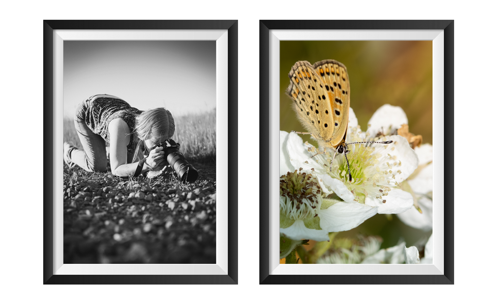 Fotografie Referenz